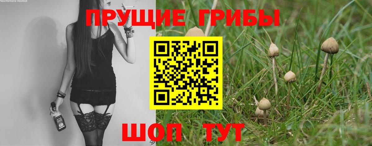 Псилоцибиновые грибы ЛСД  Вход с VPN  Заволжье 